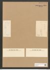 Diatomeae indet. Zeichnungen Sammlung Grunow Nr. 3295 (NHMW-BOT-W0370783)